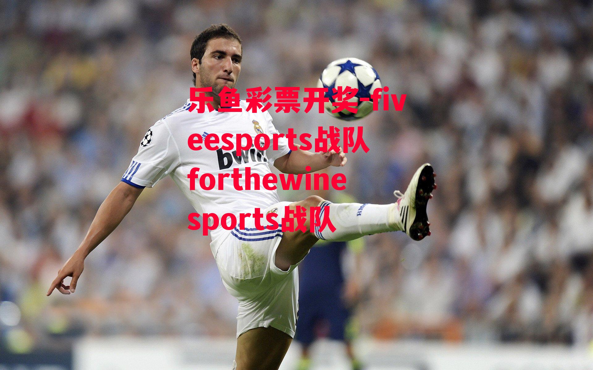 乐鱼彩票开奖-fiveesports战队forthewinesports战队